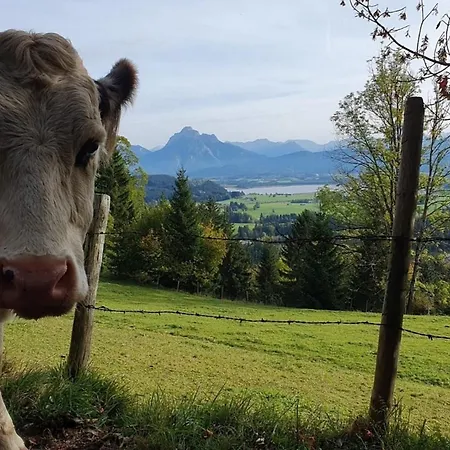 Alpenblick 4, Bergblick Pur Im Allgaeu