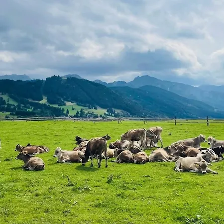 Alpenblick 4, Bergblick Pur Im Allgaeu 아파트 *