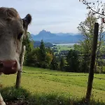 Alpenblick 4, Bergblick Pur Im Allgaeu