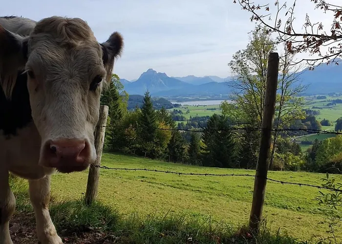 Apartment Alpenblick 4, Bergblick Pur im Allgäu